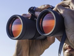 Best Hunting Binoculars in 2019 – Ranked