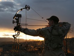 Best Compound Bow On The Market – Extensive Rankings