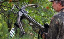 The Best Crossbows Across Multiple Price Points